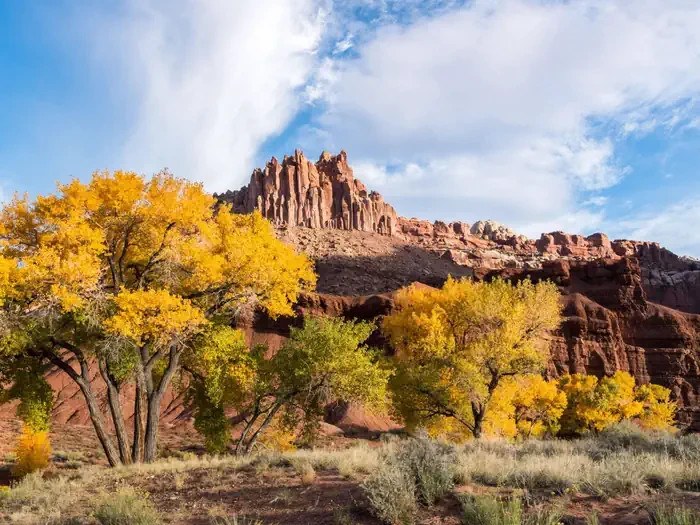 Fruita Campground