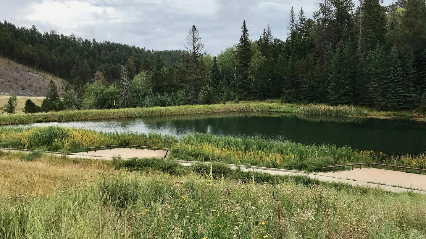 Strawberry Recreation Site