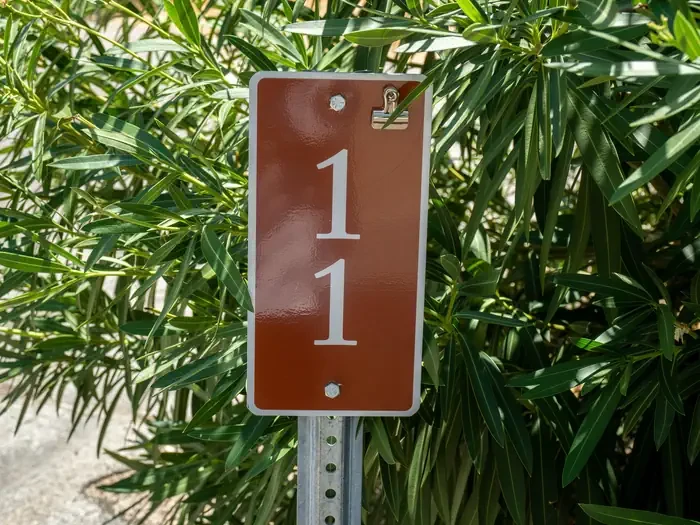 Site 11
