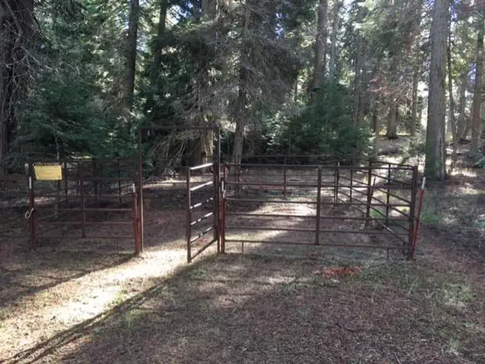 02-Equestrian Camp