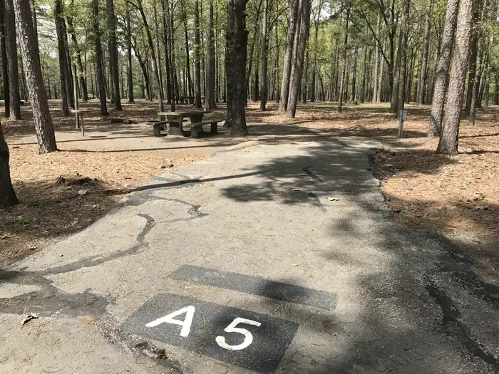 A05