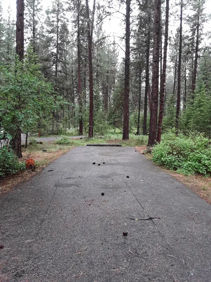 Quartz Flat Campground (MT)