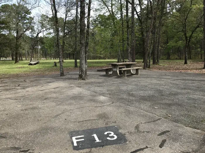 F13
