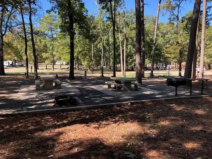B29