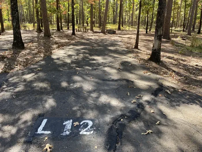L12