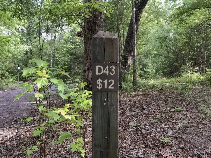 43