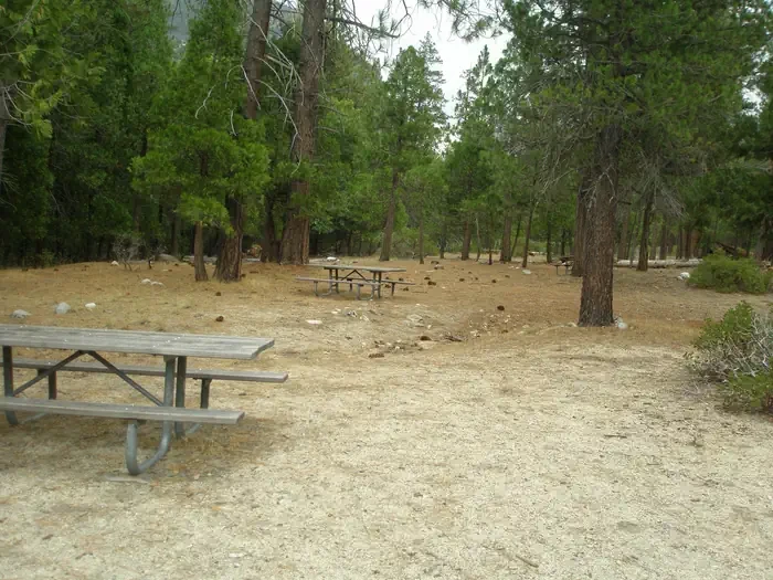 Site D