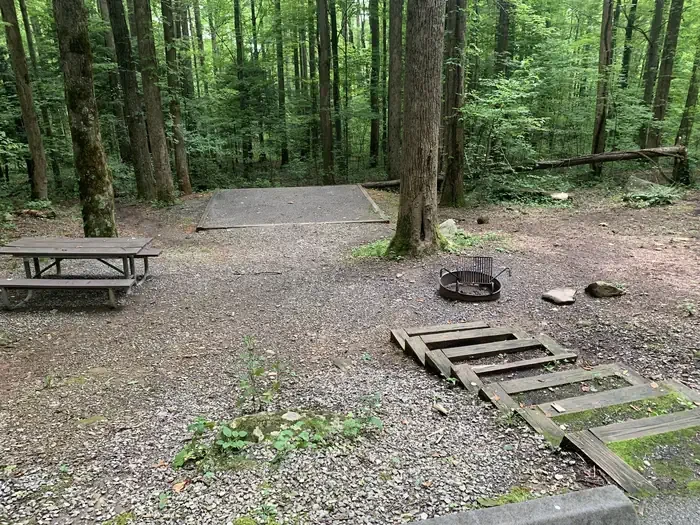 B42