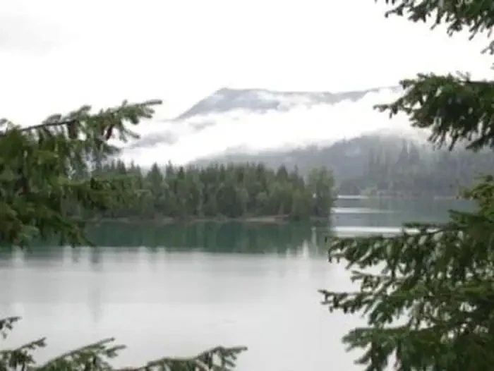 Packard Creek