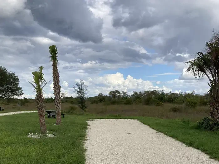 36