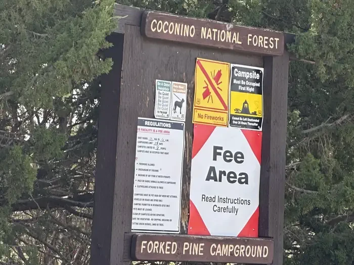 Forked Pine Campground