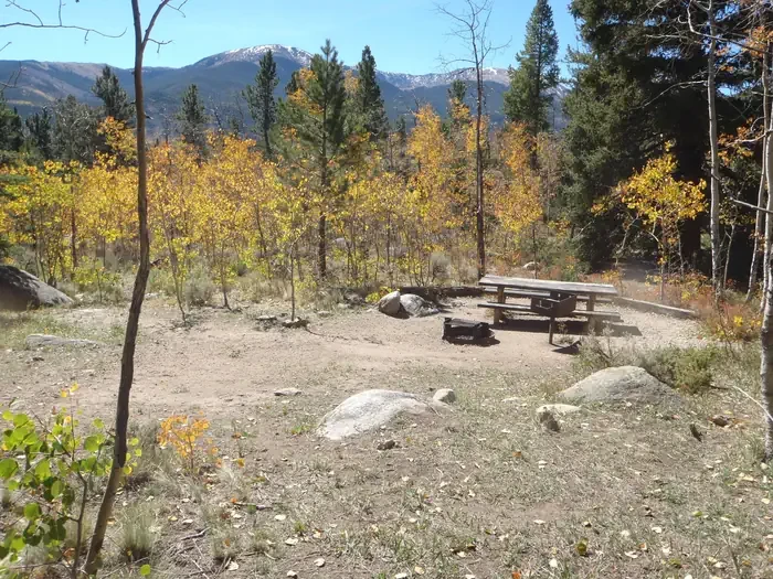 D004