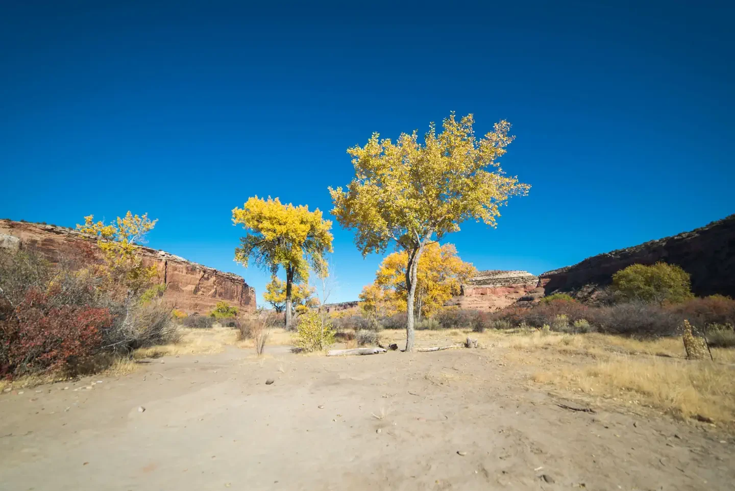 Ruby Horsethief Canyon Permits