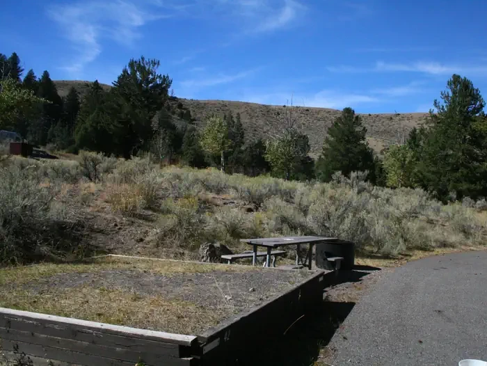 Mammoth site #42