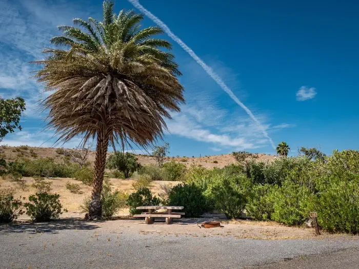 EB Site 33