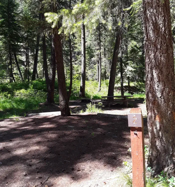 Trout Creek Campground (MT)