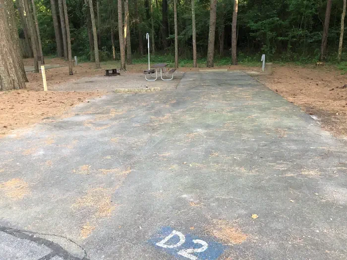 D02