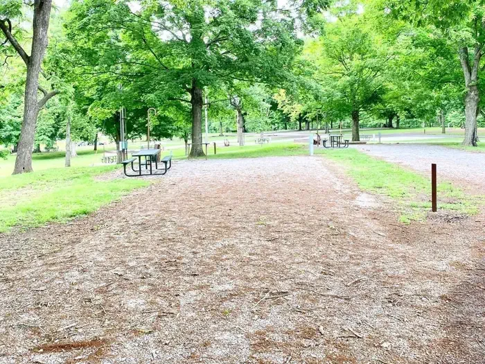 B11