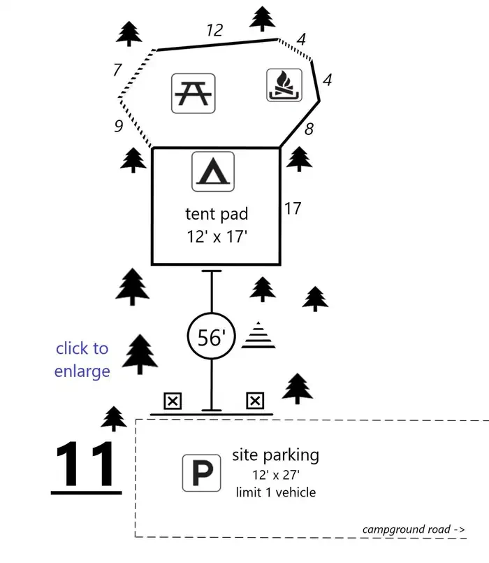 11