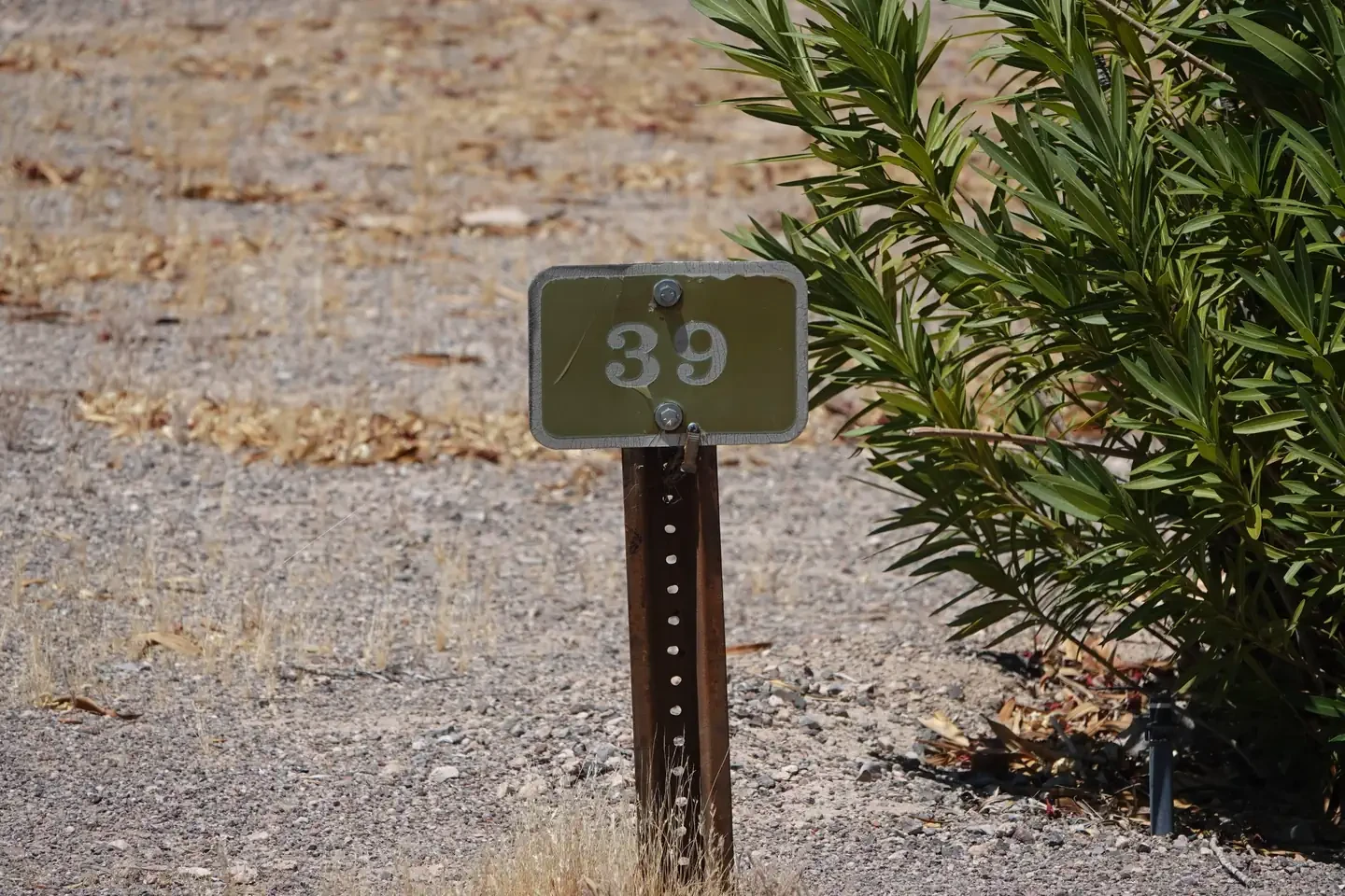 Site 39