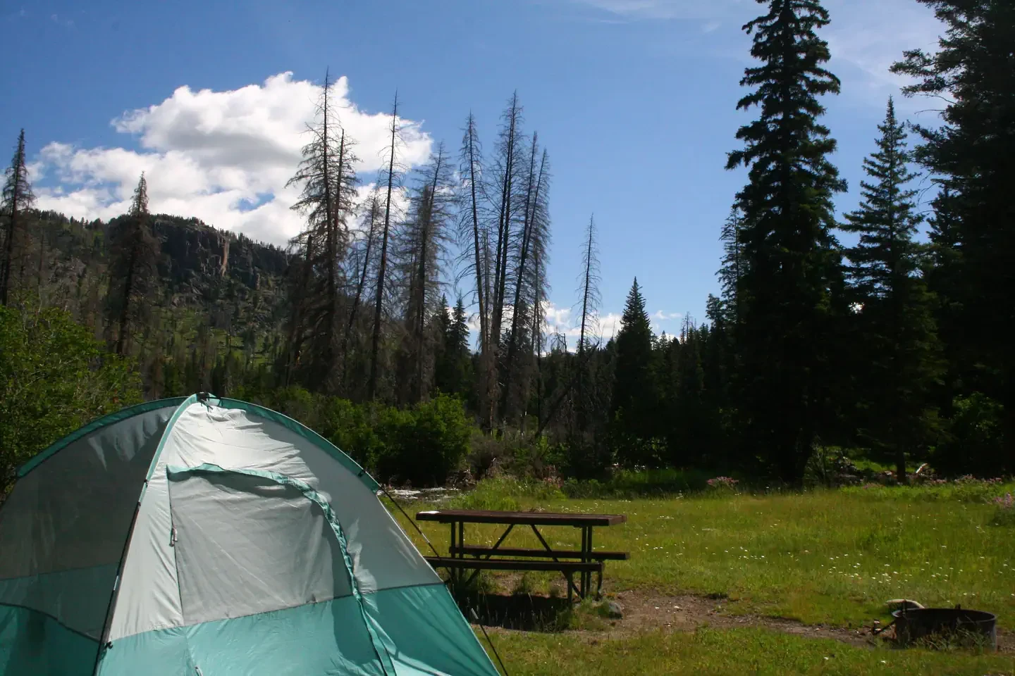 Slough Creek site #5