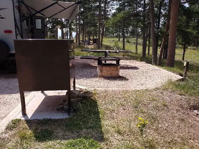 32