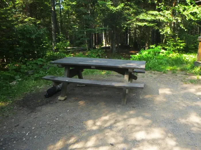 Alder Cabin