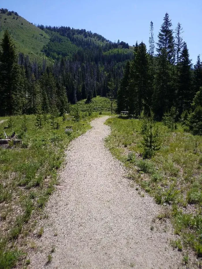Hahns Peak Lake Campground - Medicine-Bow Routt NF (CO)