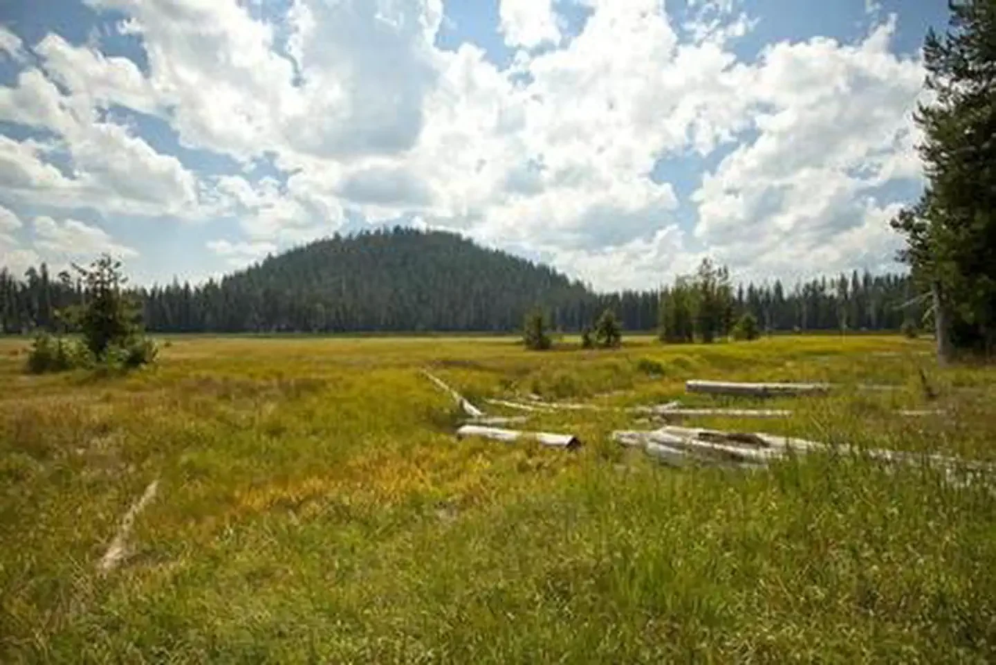 South Campground - Hosmer Lake (OR)
