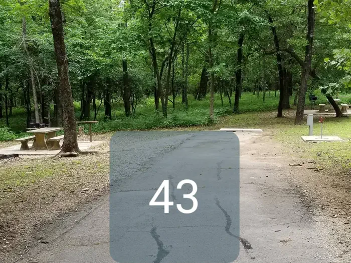 43