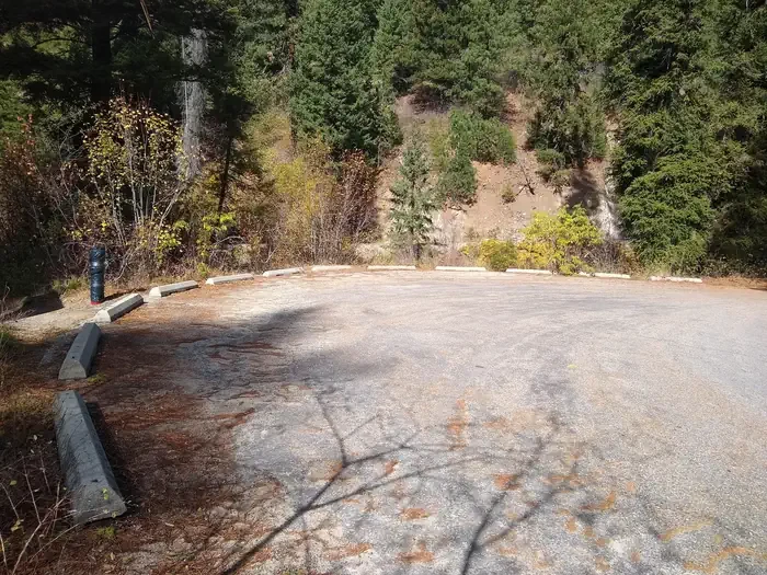 Hayfork Group Cg