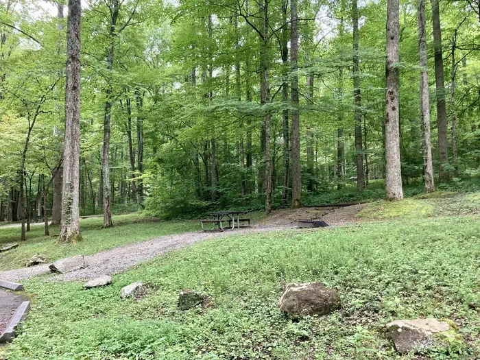 A09