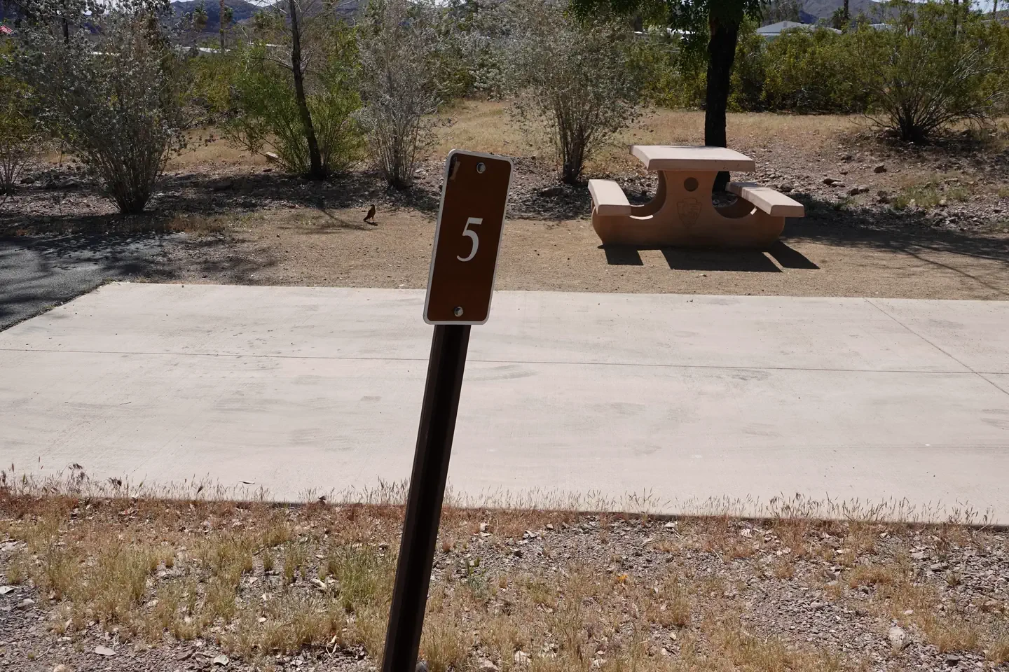 Site 5