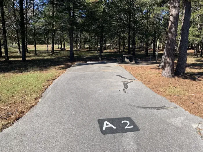 A02