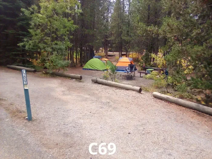 69