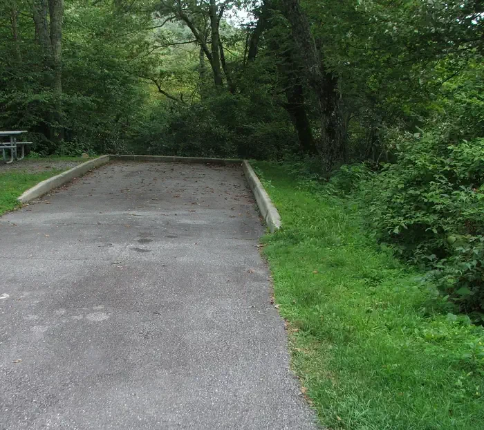 A31