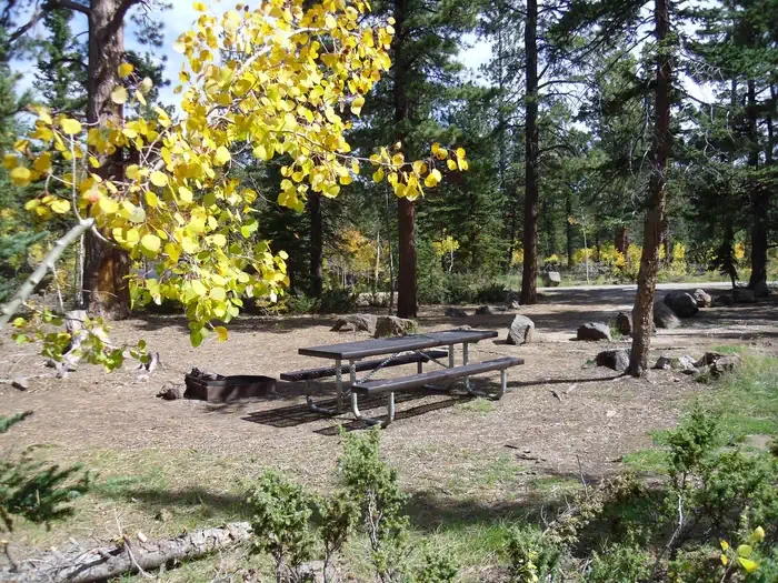 Duck Creek