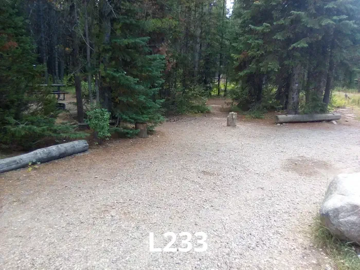 233