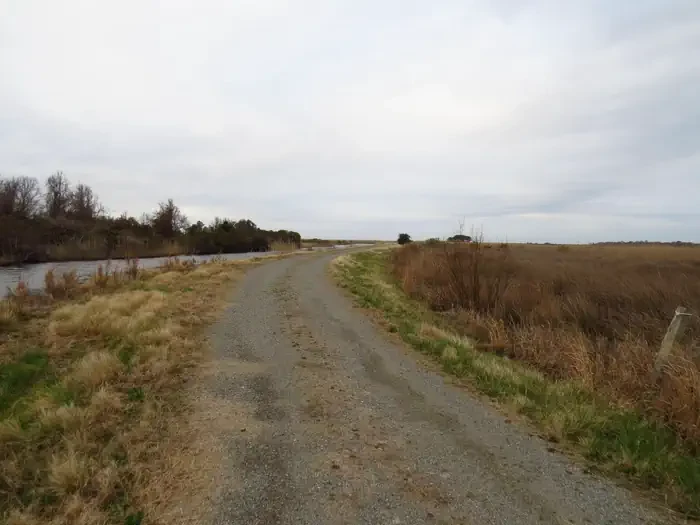 Back Bay National Wildlife Refuge