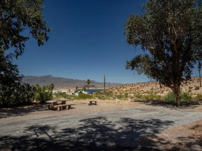 Site 37