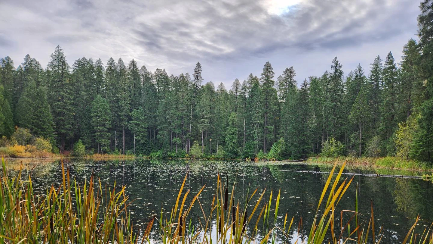 Lake In The Woods Campground