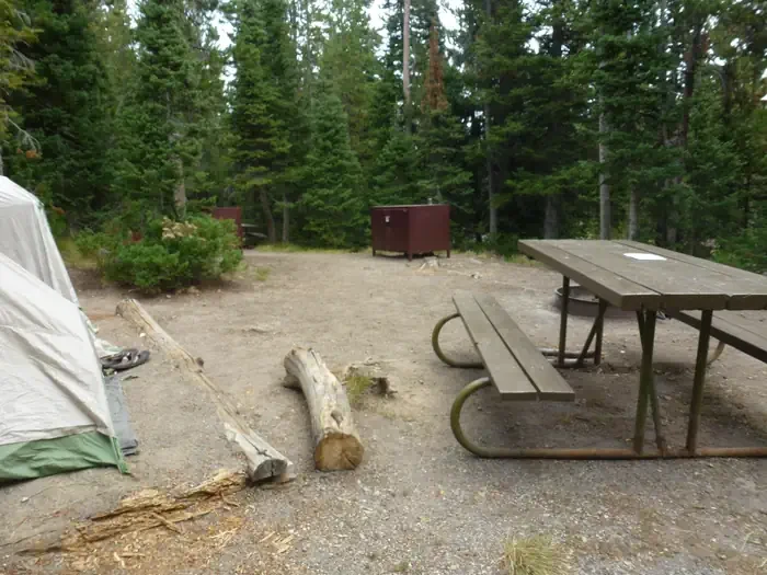 Lewis Lake site #9