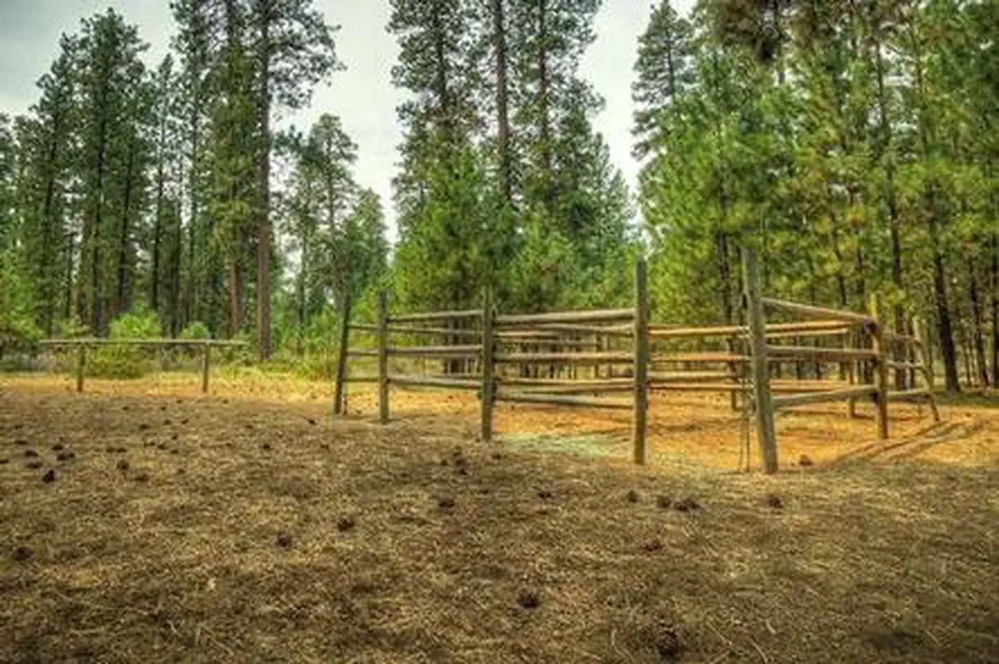 Graham Corral Horse Campground