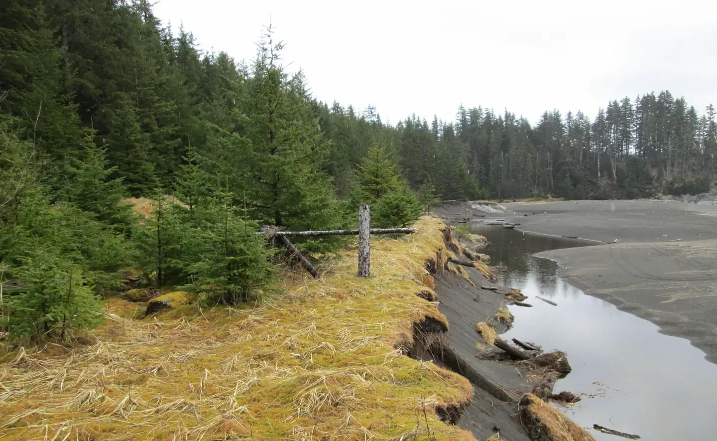 North Beach Cabin