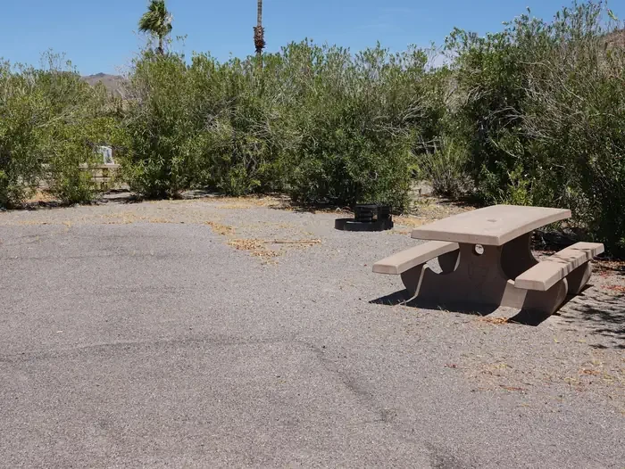 Site 26