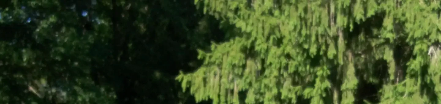 H41