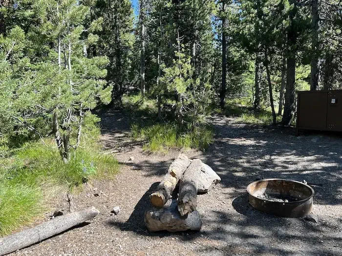 Lewis Lake site #83