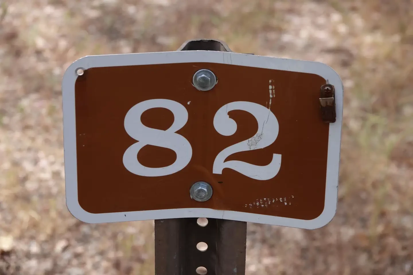 Site 82