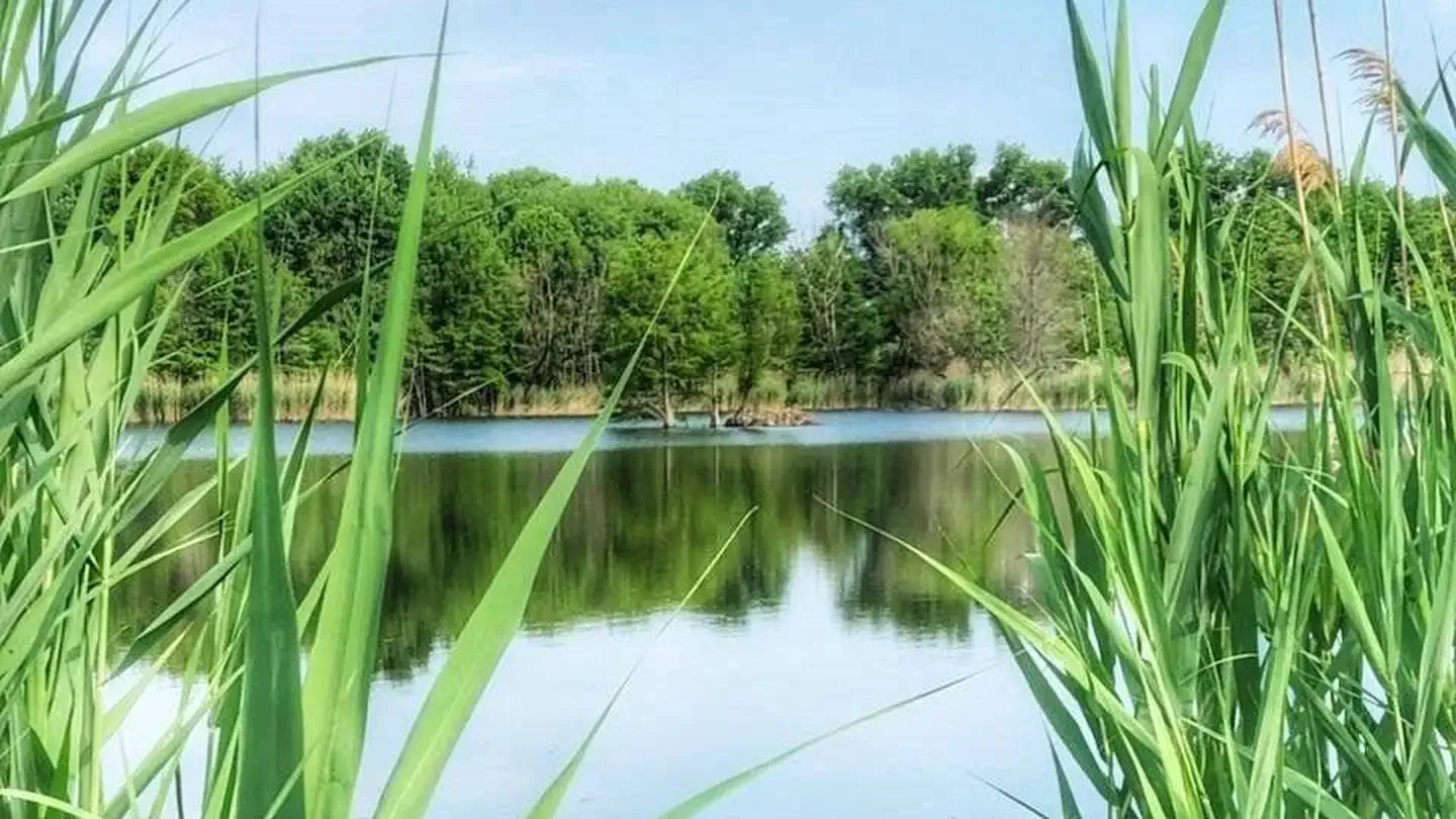 Rend Lake