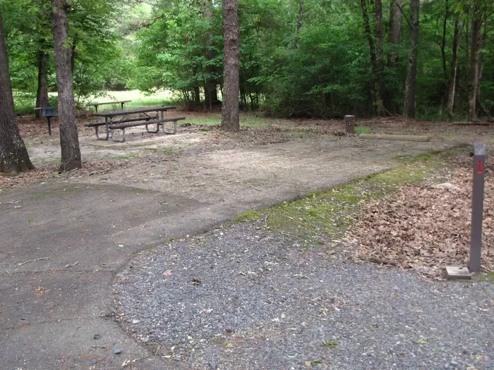 Site 1